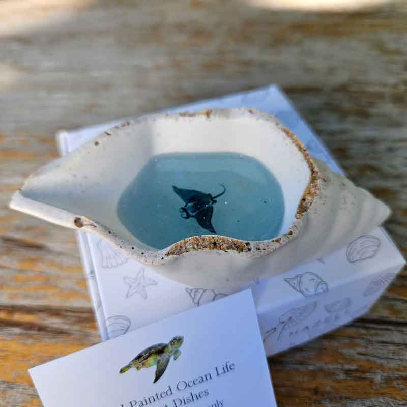 Cone Shell Trinket Dish - Floating Manta Ray