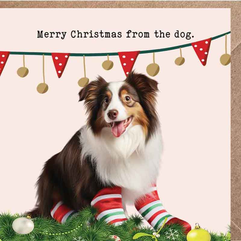 Lucy Loves Life Card - Merry Christmas From The Dog (Australian Shepherd)