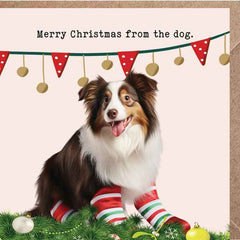 Lucy Loves Life Card - Merry Christmas From The Dog (Australian Shepherd)