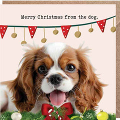 Lucy Loves Life Card - Merry Christmas From The Dog (Cavalier)