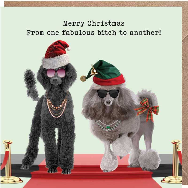 Lucy Loves Life Card -  Merry Christmas Fabulous Friend
