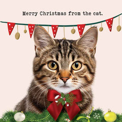 Lucy Loves Life Card - Merry Christmas From The Cat