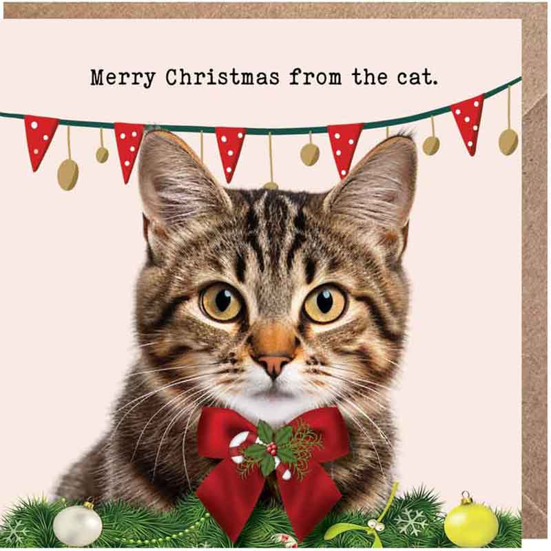 Lucy Loves Life Card - Merry Christmas From The Cat