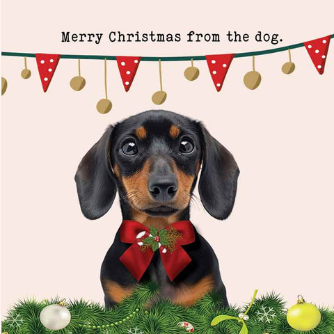 Lucy Loves Life Card - Merry Christmas From The Dog (Dachshund)