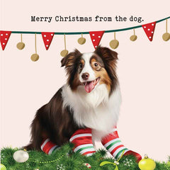 Lucy Loves Life Card - Merry Christmas From The Dog (Australian Shepherd)