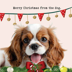 Lucy Loves Life Card - Merry Christmas From The Dog (Cavalier)