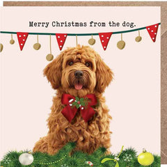 Lucy Loves Life Card - Merry Christmas From The Dog (Cavoodle)