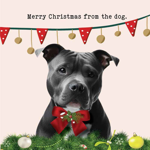 Lucy Loves Life Card - Merry Christmas From The Dog (Staffy)