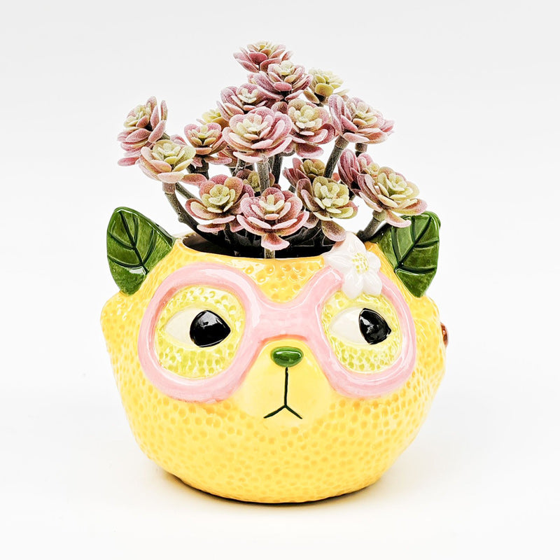 Mini Cat Planter - Lemon