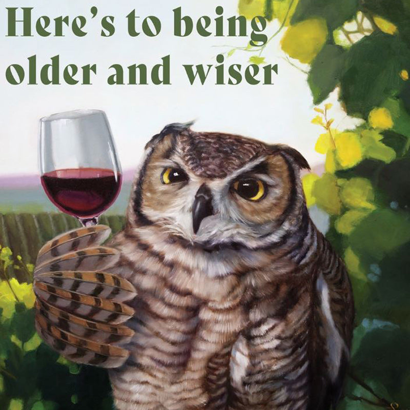 Older And Wiser Owl Greeting Card