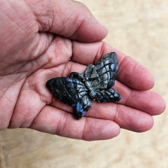 Rhyolite Pocket Crystal Butterfly - Healing