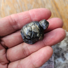Rhyolite Pocket Crystal Turtle - Healing