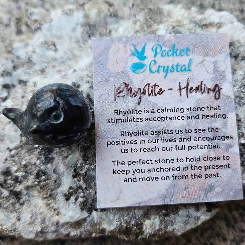 Rhyolite Pocket Crystal Whale - Healing