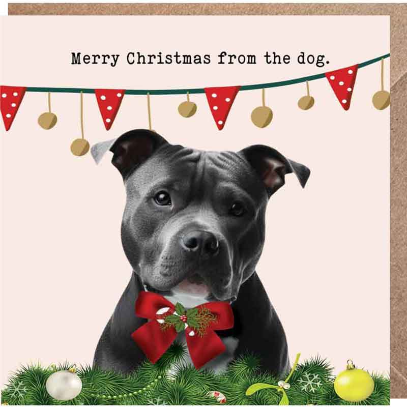 Lucy Loves Life Card - Merry Christmas From The Dog (Staffy)