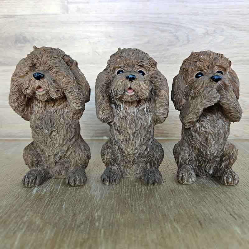 See No Evil, Hear No Evil, Speak No Evil Cavoodles