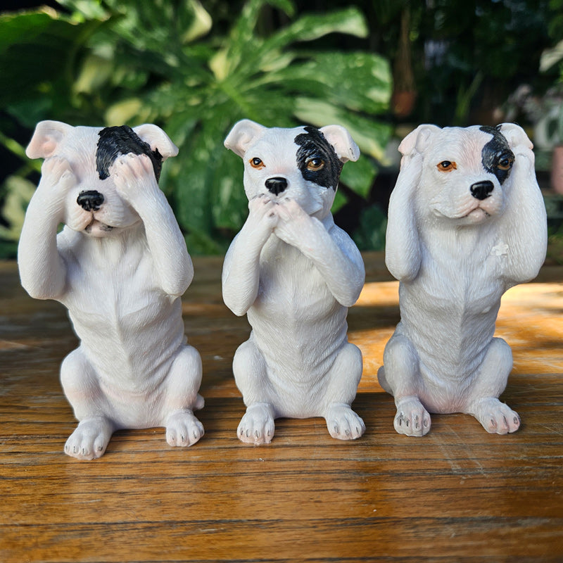 See No Evil, Hear No Evil, Speak No Evil Staffies