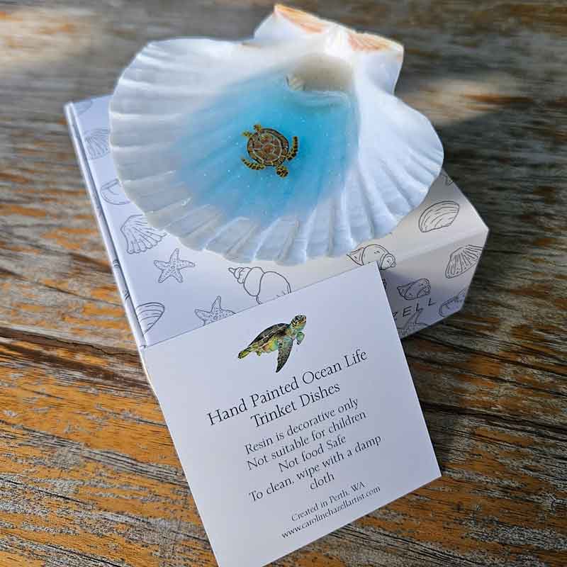 Scallop Trinket Dish - Floating Turtle