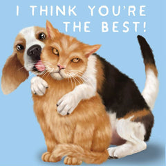 You're The Best - Cat And  Dog Greeting Card