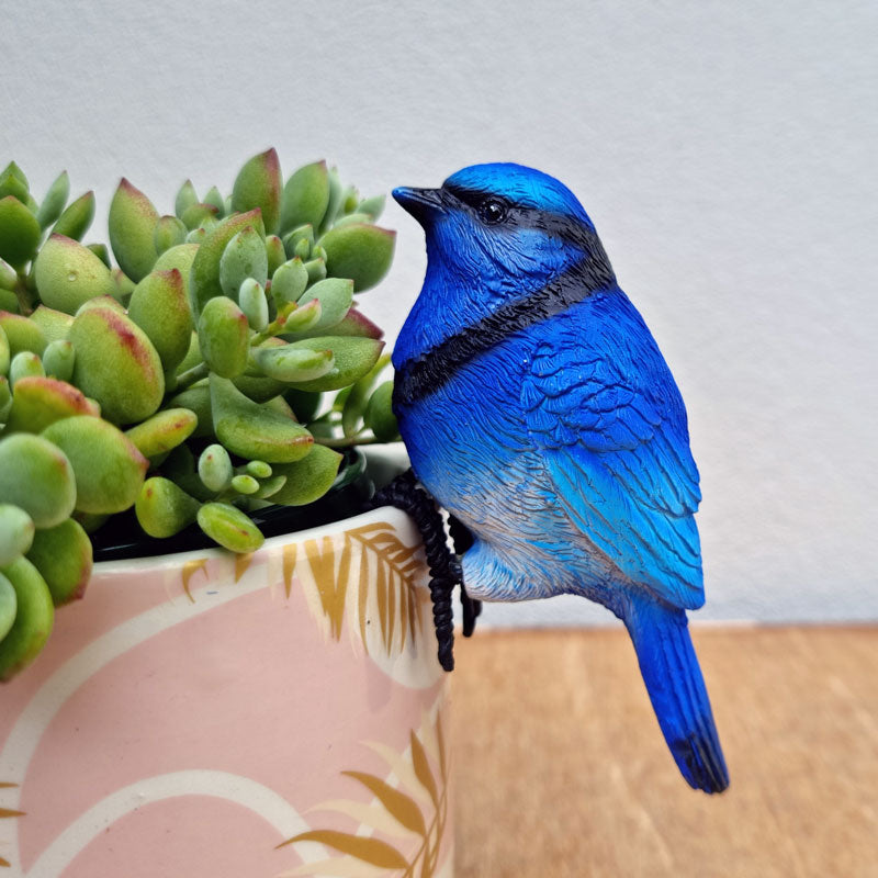 Bluebird Pot Sitter