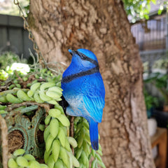 Bluebird Pot Sitter