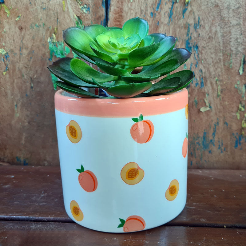 Peach Fruit Ceramic Planter