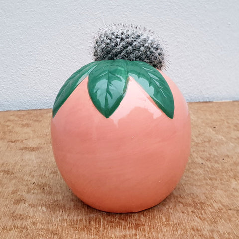 Peach Ceramic Planter