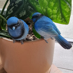 Bluebird Pot Sitter
