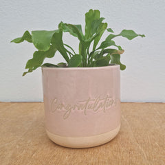 Congratulations Ceramic Planter