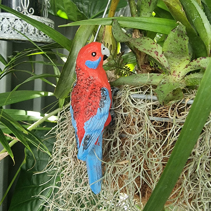 Crimson Rosella Pot Sitter