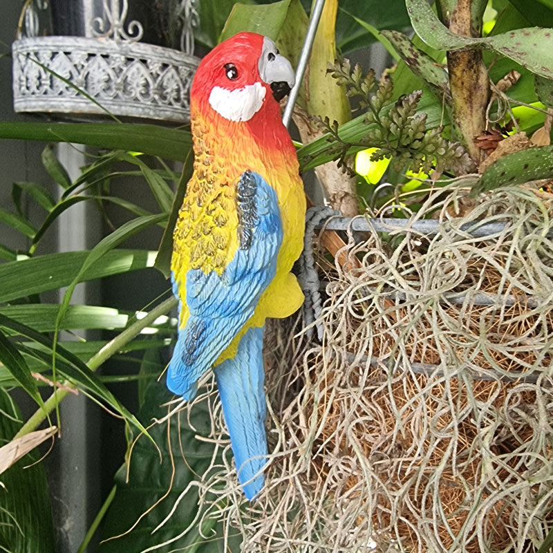 Eastern Rosella Pot Sitter