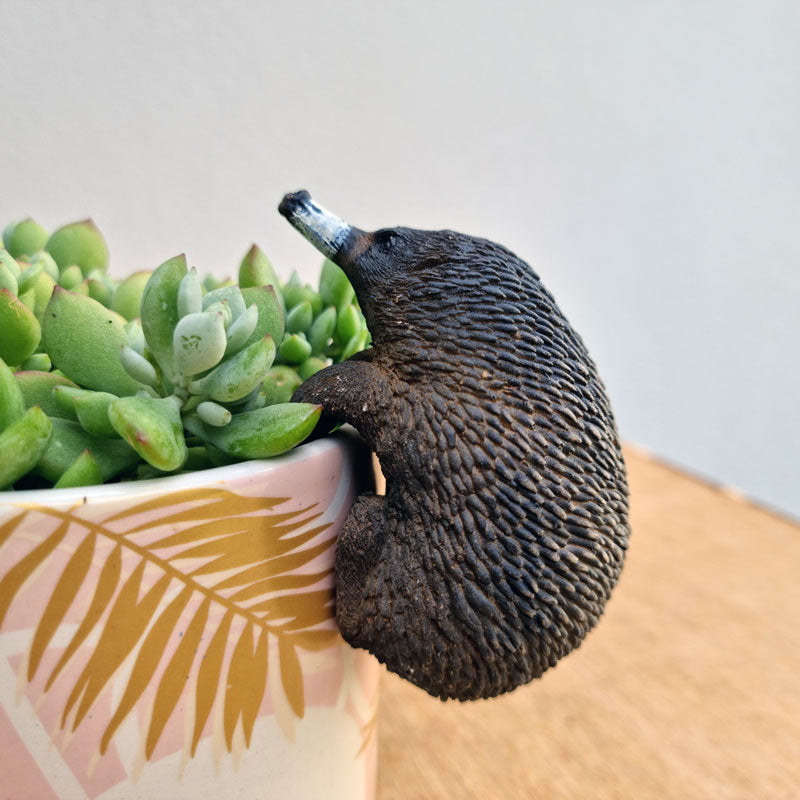 Echidna Pot Sitter