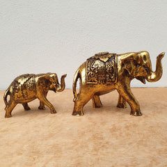 Gold & Black Elephant - Mum