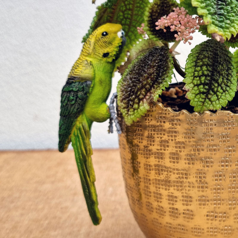 Green Budgie Pot Sitter