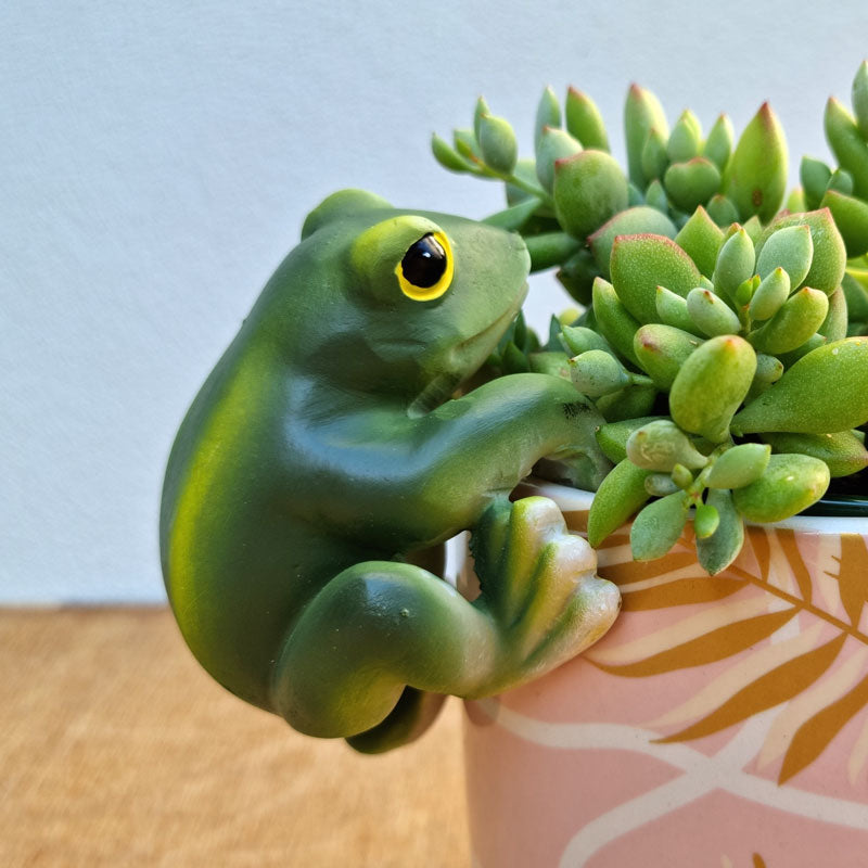 Green Frog Pot Sitter