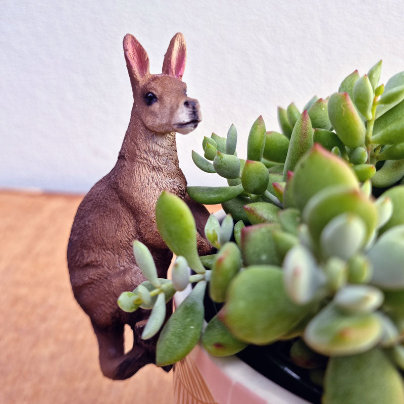 Kangaroo Pot Sitter