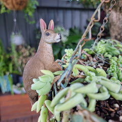 Kangaroo Pot Sitter