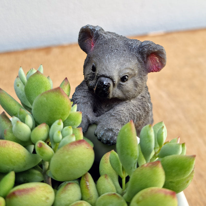 Koala Pot Sitter