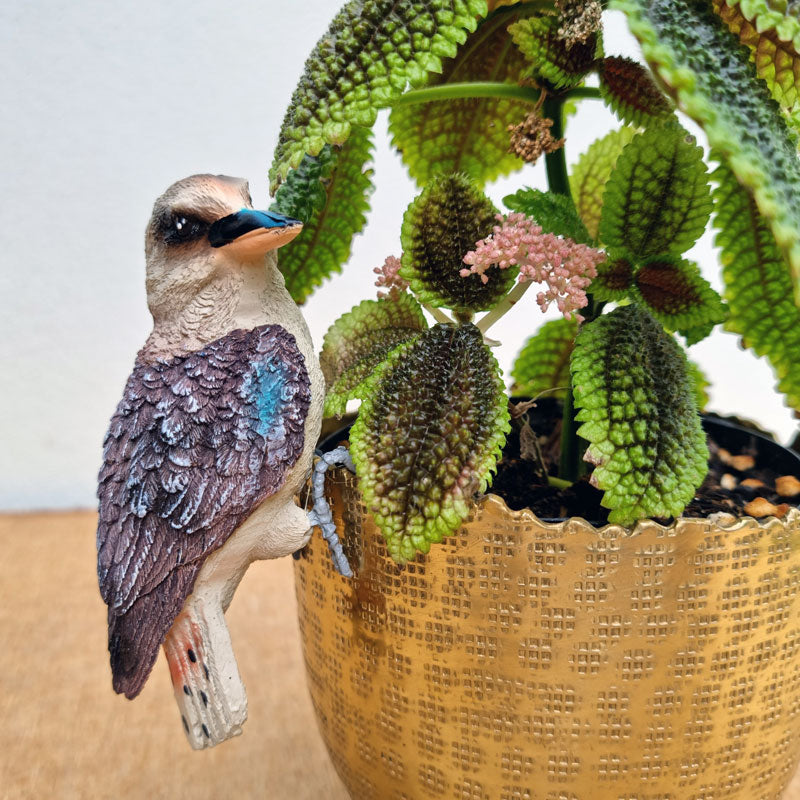 Kookaburra Pot Sitter