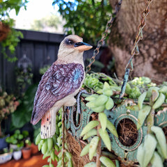 Kookaburra Pot Sitter