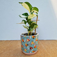 Moth Ceramic Planter Pot