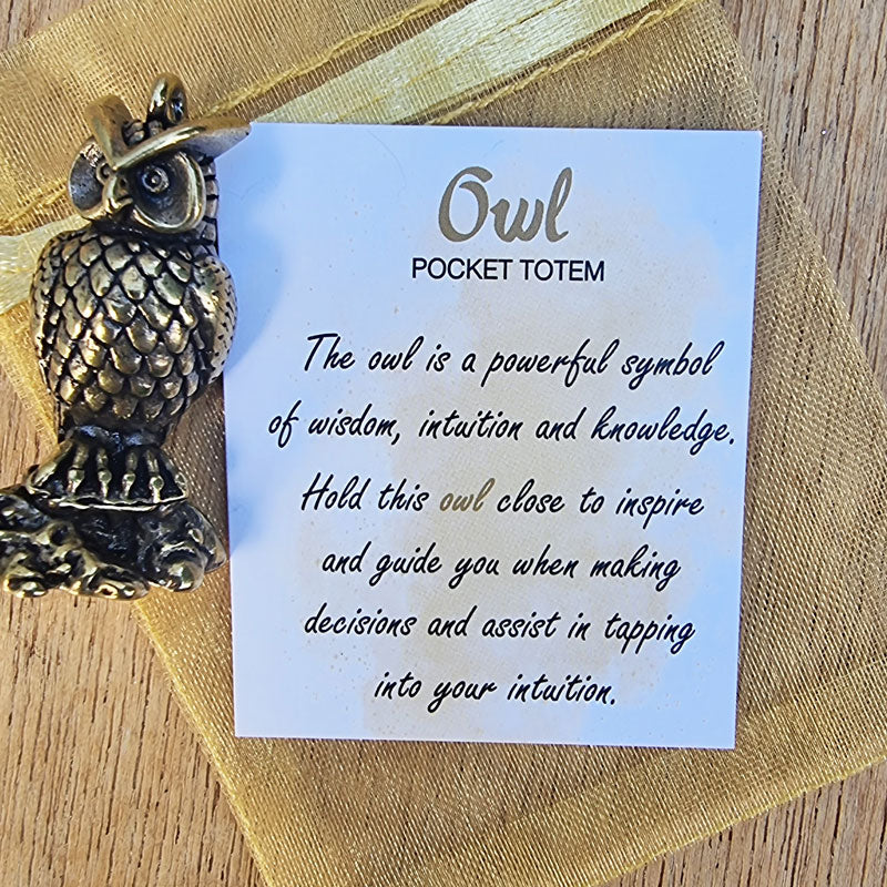 Owl Pocket Totem - Wisdom & Intuition