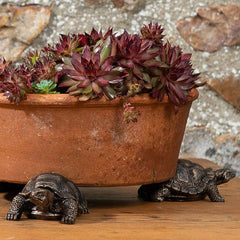 Potty Feet Antique Bronze Tortoise - Set of 3