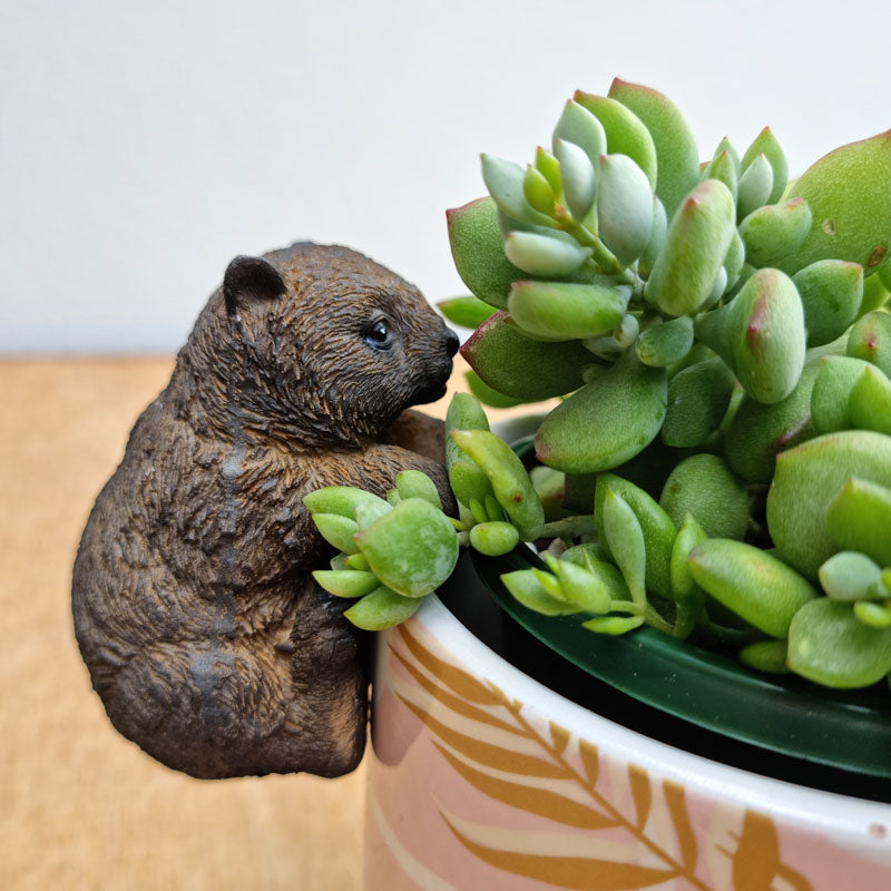 Wombat Pot Sitter